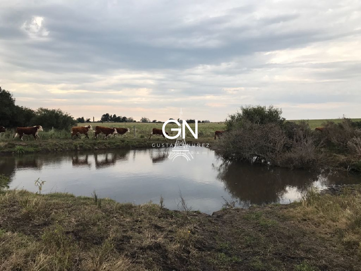 Campo Ref.2980 - 123 hectáreas a pocos kilómetros de Pan De Azúcar