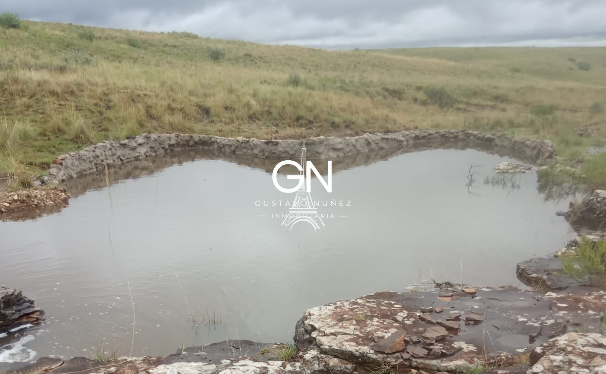 Campo Ref.2800 - Campo ganadero en Tacuarembó.