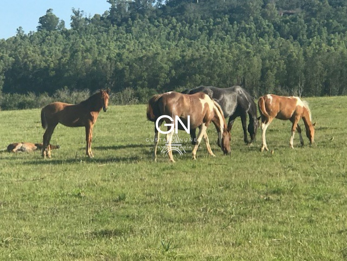Campo Ref.3481 - Las Acacias