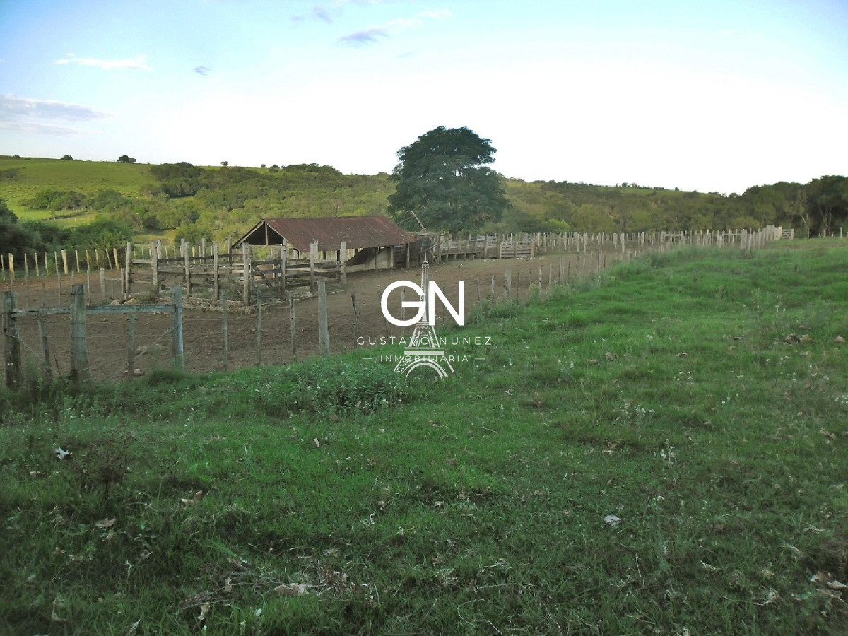 Campo Ref.2658 - Campo en Tacuarembó