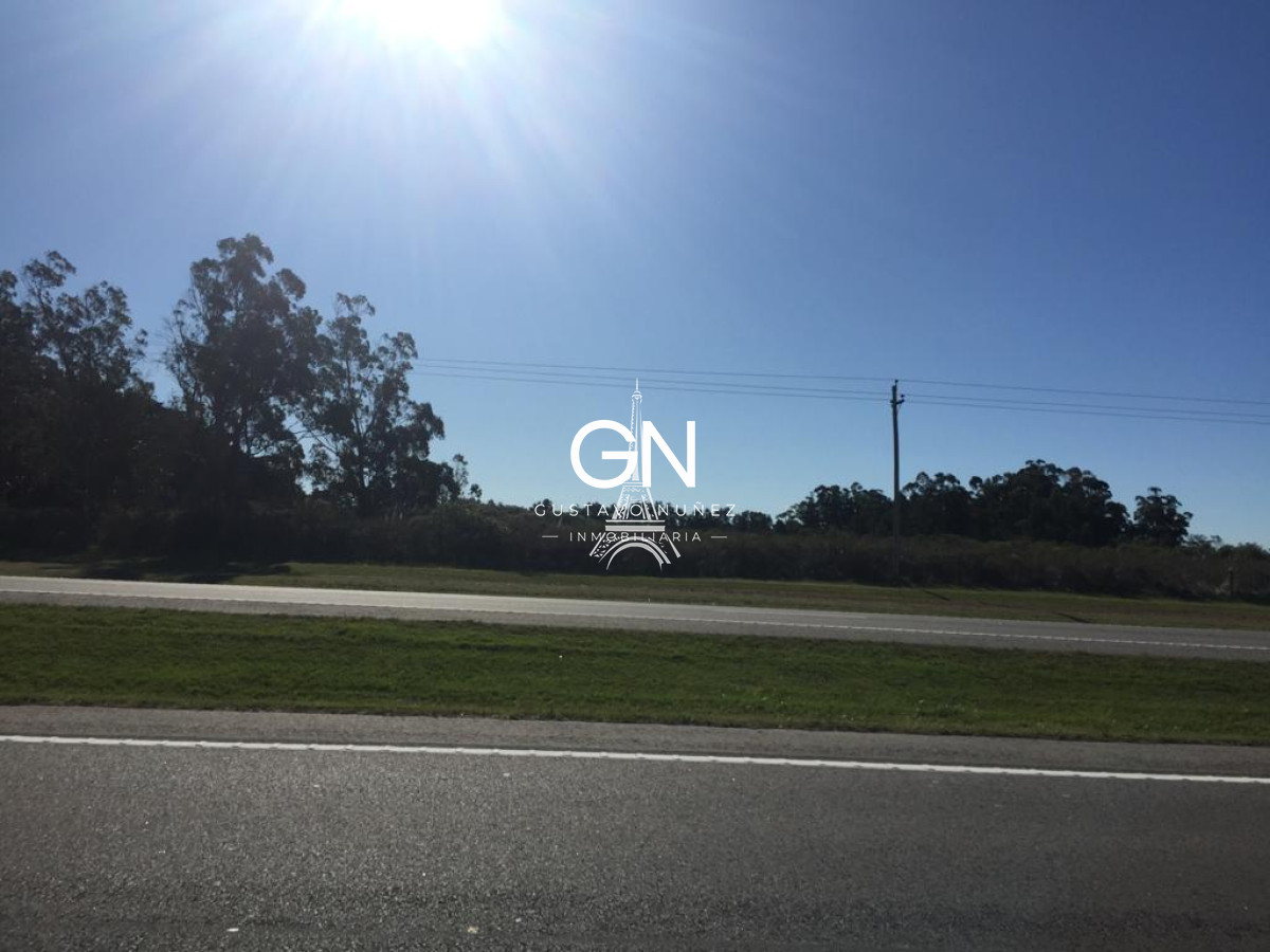 Campo Ref.3548 - Hectáreas sobre ruta IB