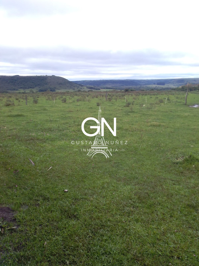 Campo Ref.4569 - Campo ganadero