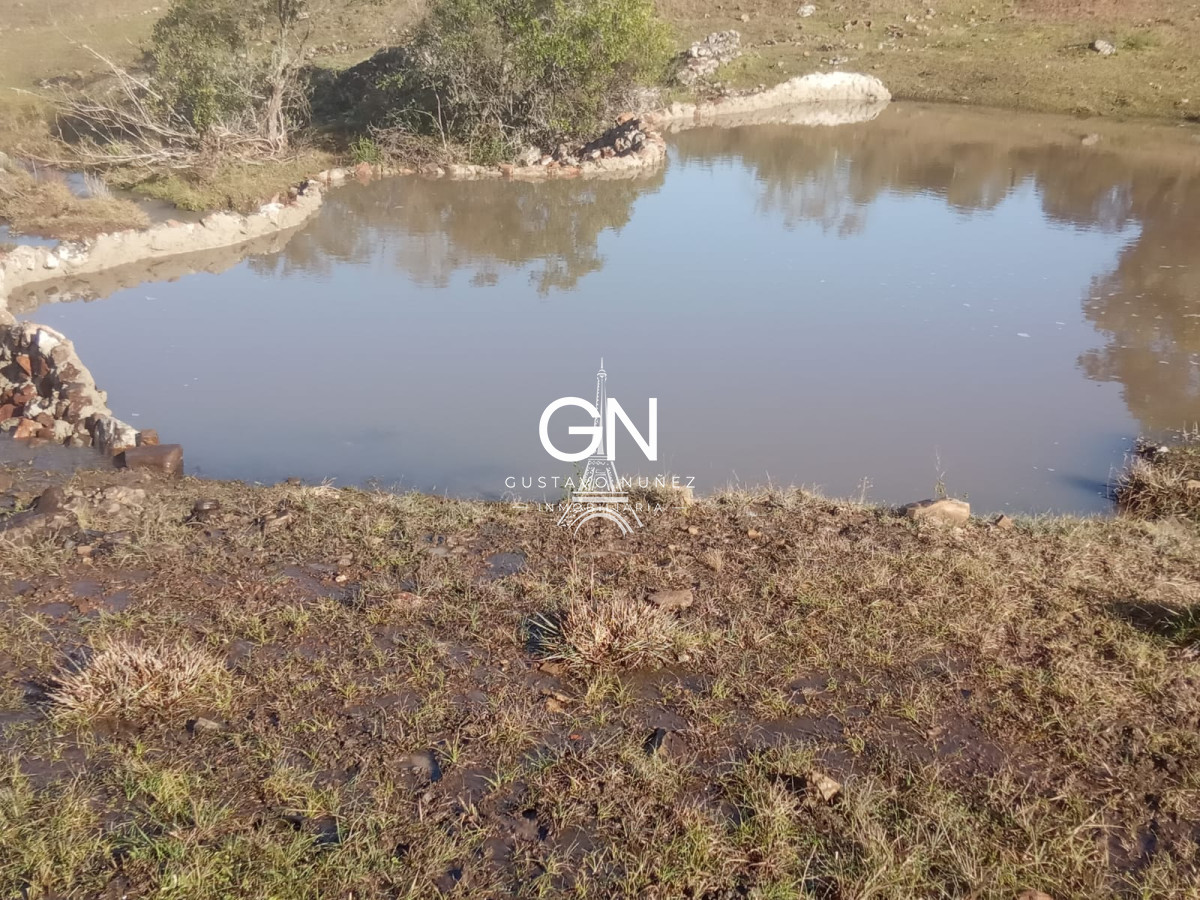 Campo Ref.2800 - Campo ganadero en Tacuarembó.