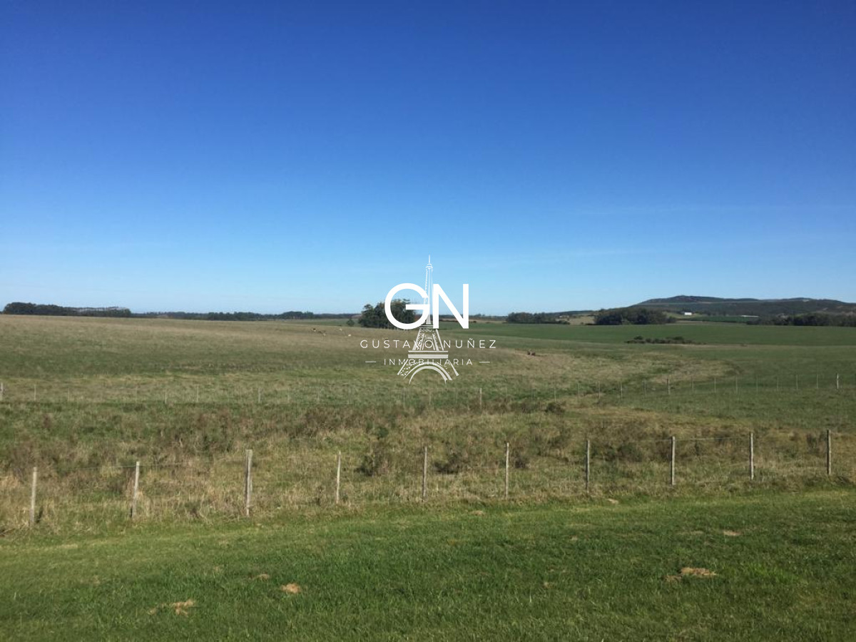 Campo Ref.3548 - Hectáreas sobre ruta IB