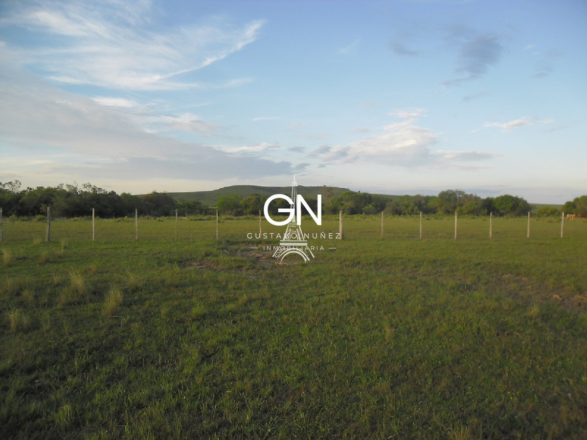 Campo Ref.2658 - Campo en Tacuarembó