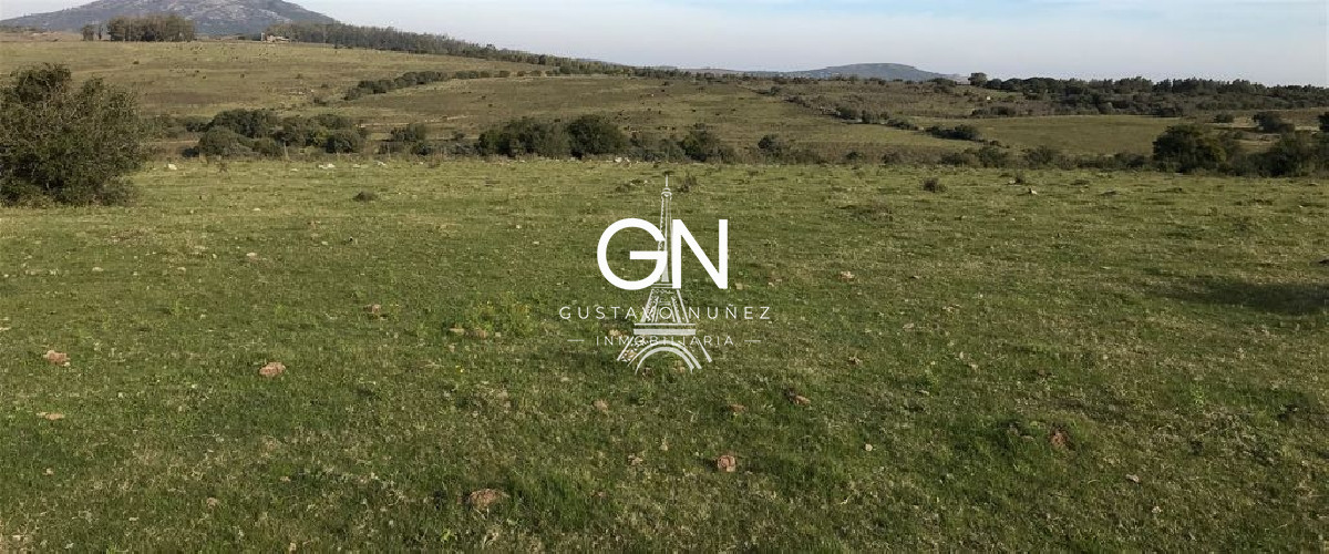 Campo Ref.2980 - 123 hectáreas a pocos kilómetros de Pan De Azúcar