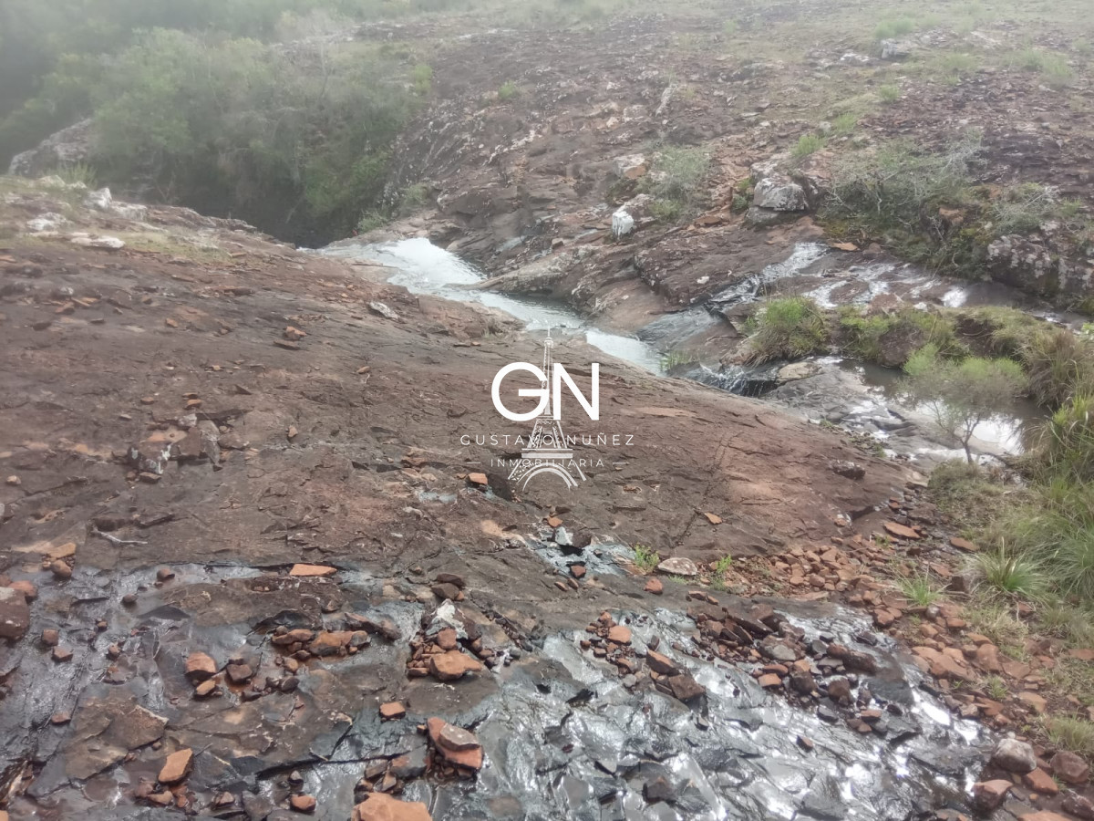 Campo Ref.2658 - Campo en Tacuarembó