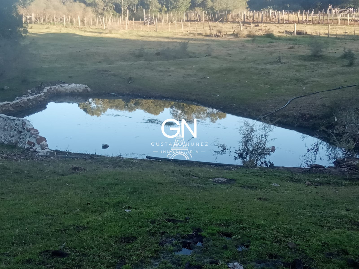 Campo Ref.2800 - Campo ganadero en Tacuarembó.