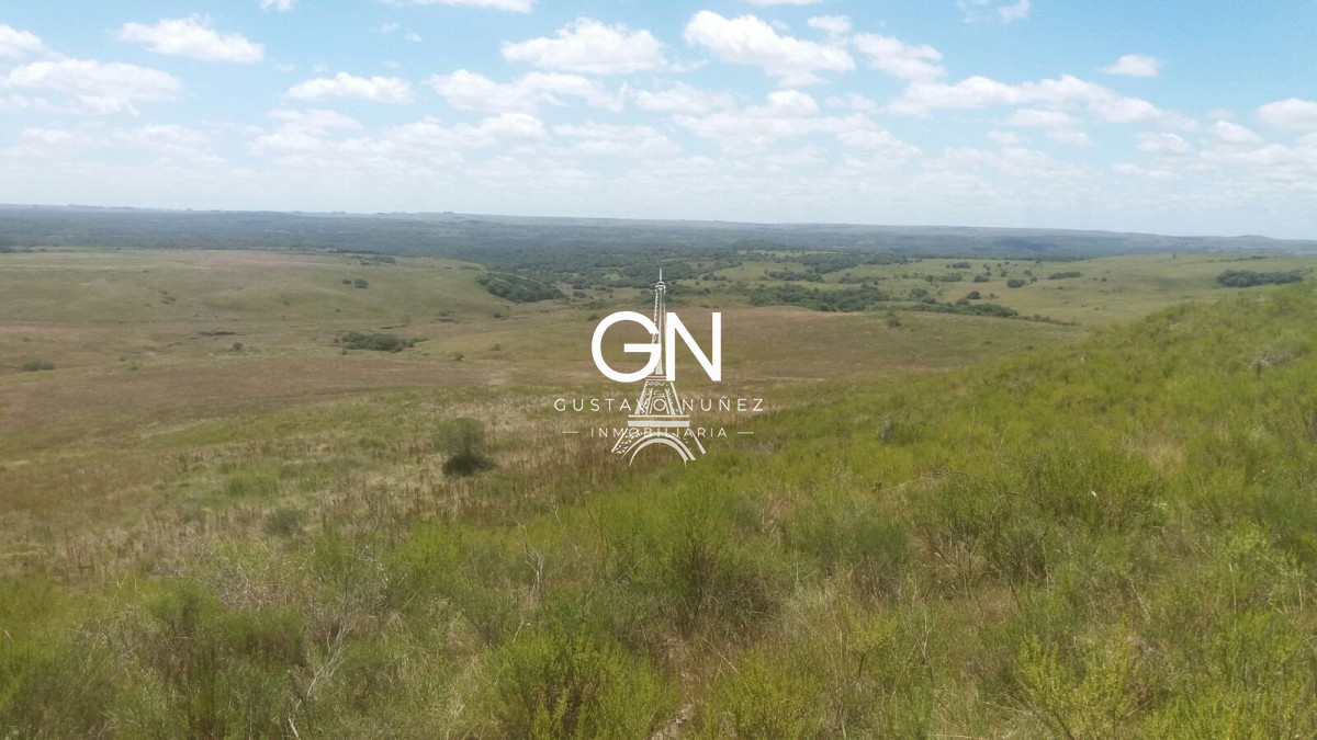 Campo Ref.2800 - Campo ganadero en Tacuarembó.