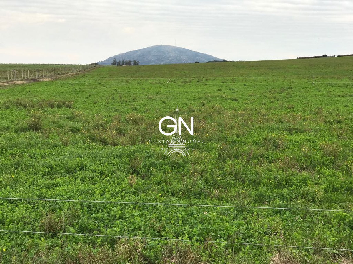 Campo Ref.2980 - 123 hectáreas a pocos kilómetros de Pan De Azúcar