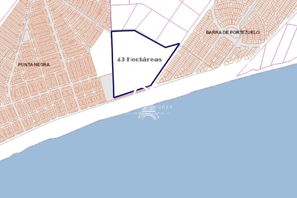 Campo Ref.2946 - Excepcionales 43 hectáreas frente al mar 