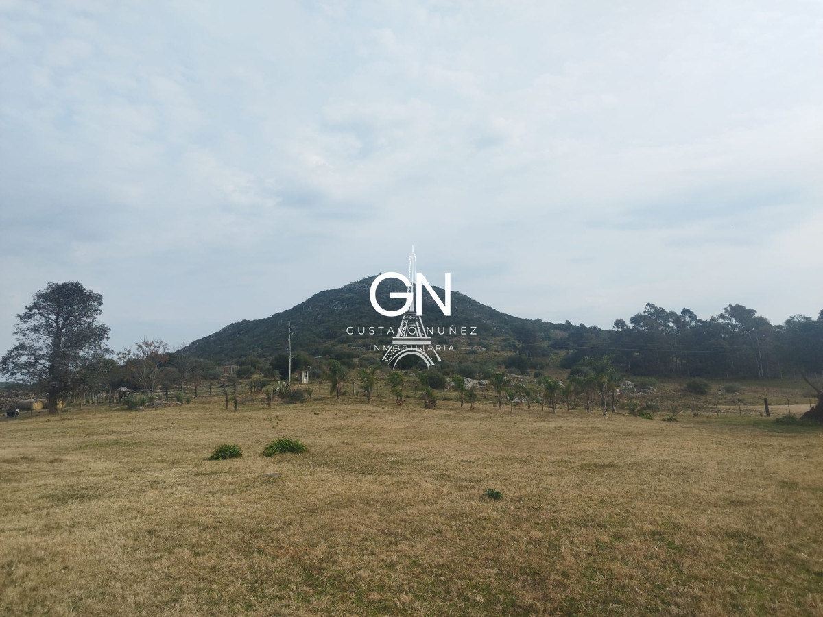 Campo Ref.4585 - Excepcional campo 