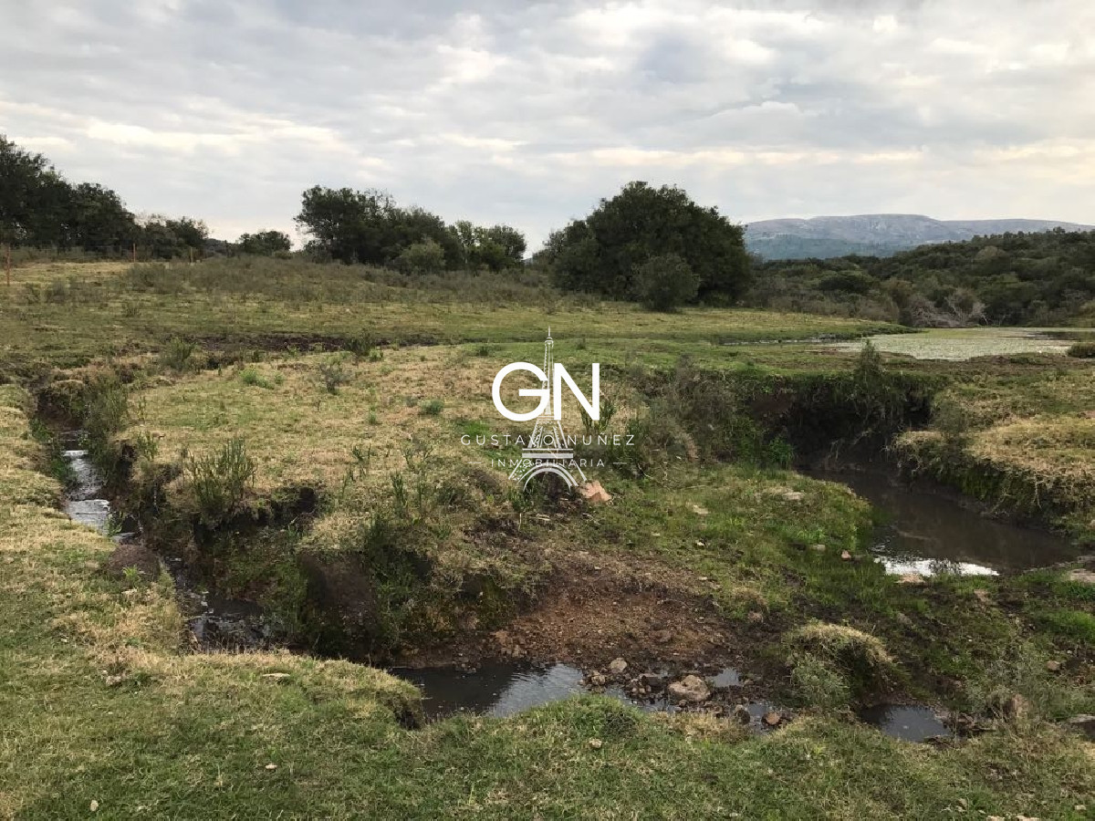 Campo Ref.2980 - 123 hectáreas a pocos kilómetros de Pan De Azúcar