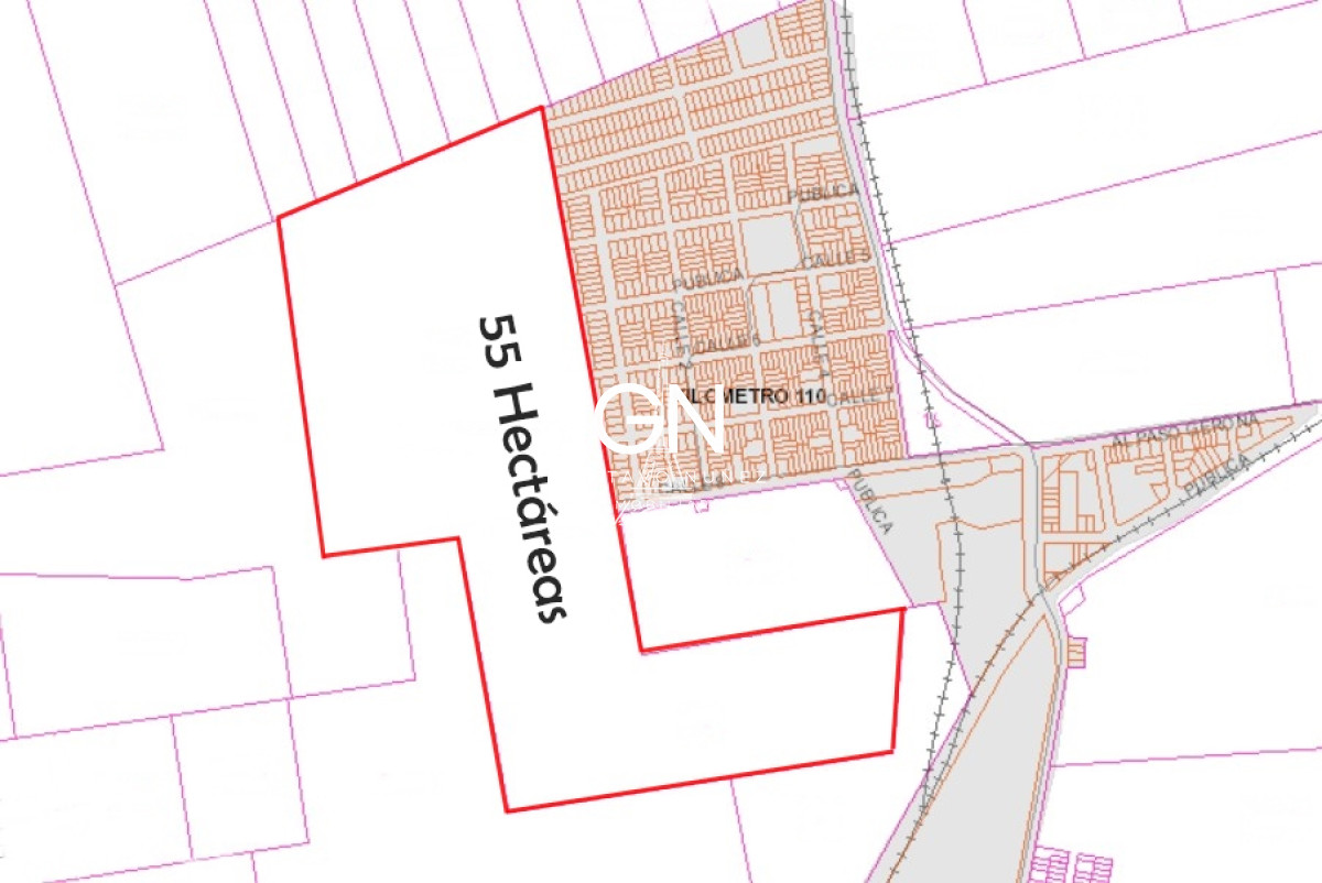 Campo Ref.3756 - 55 Hectáreas