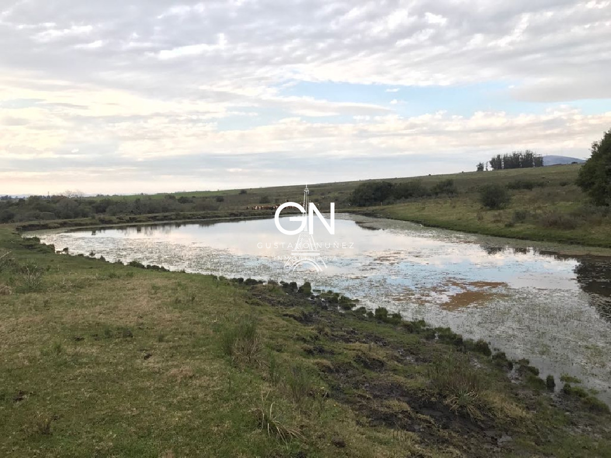 Campo Ref.2980 - 123 hectáreas a pocos kilómetros de Pan De Azúcar