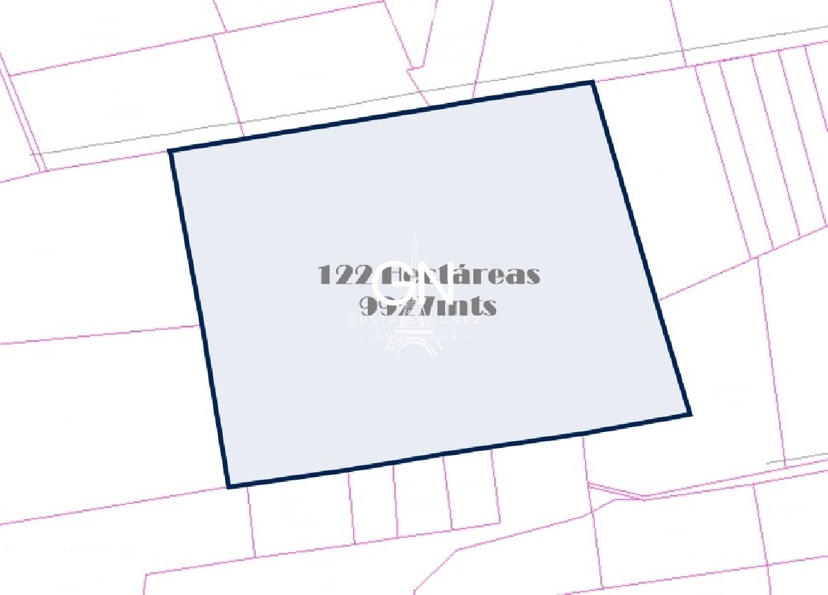 Campo Ref.2980 - 123 hectáreas a pocos kilómetros de Pan De Azúcar