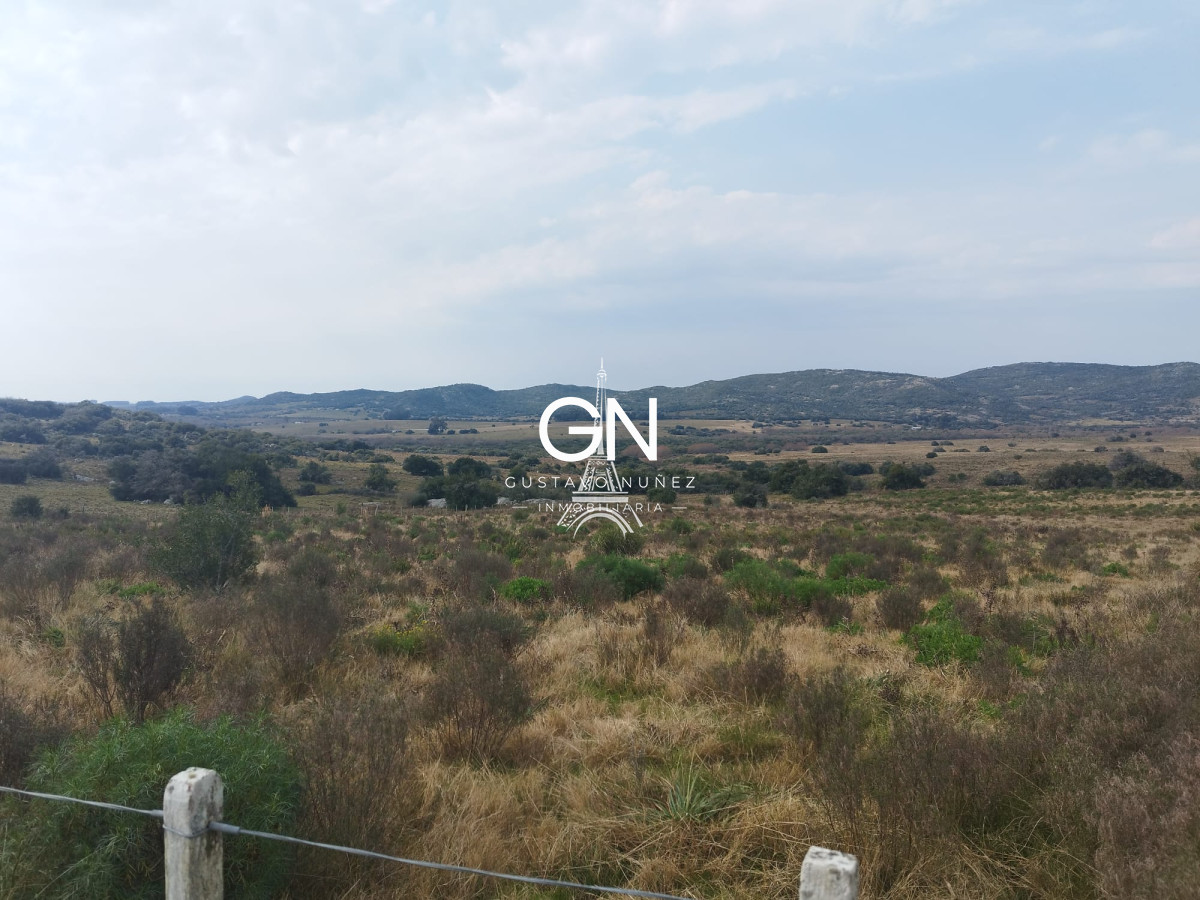 Campo Ref.4585 - Excepcional campo 