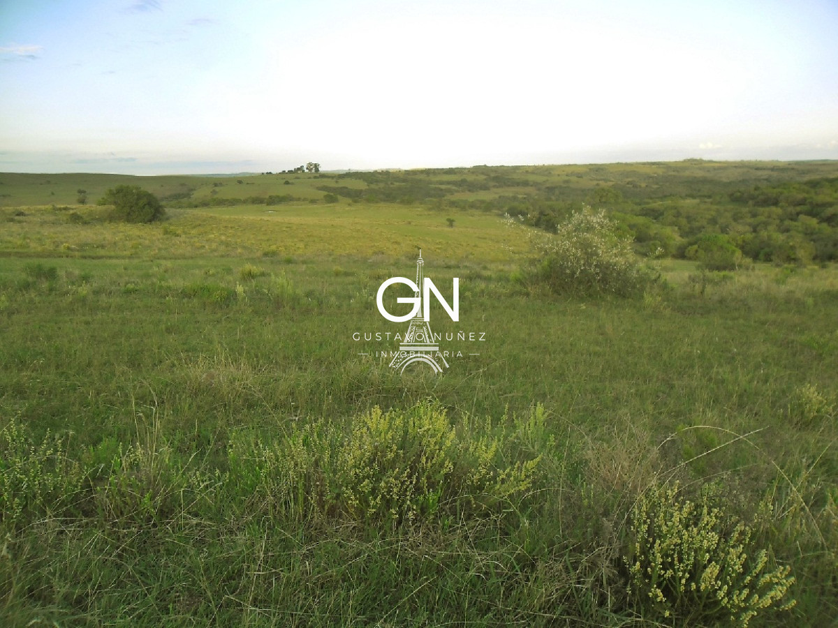 Campo Ref.2658 - Campo en Tacuarembó