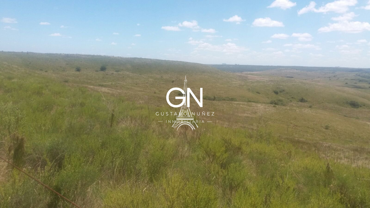 Campo Ref.2800 - Campo ganadero en Tacuarembó.