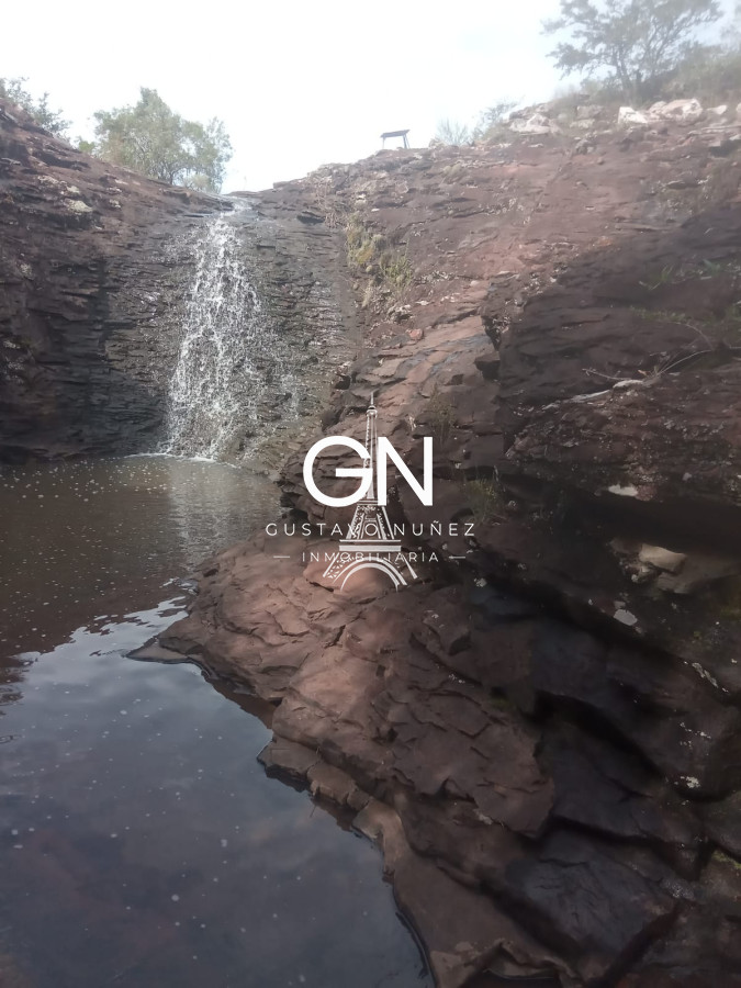 Campo Ref.2658 - Campo en Tacuarembó