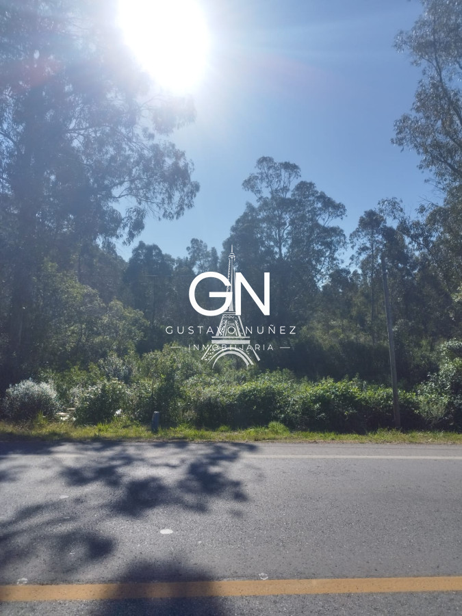 Campo Ref.4391 - Campo en , 