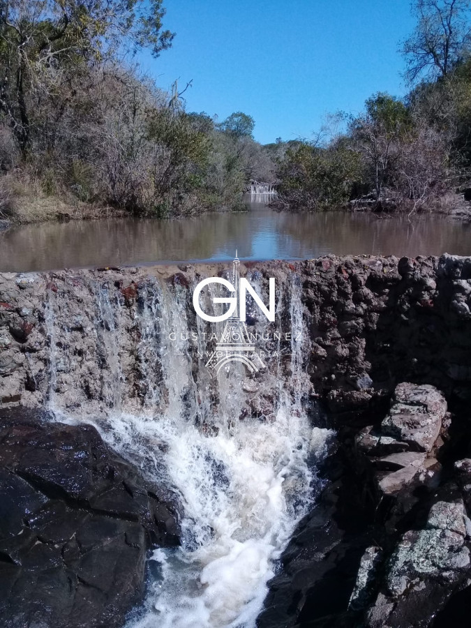 Campo Ref.4569 - Campo ganadero