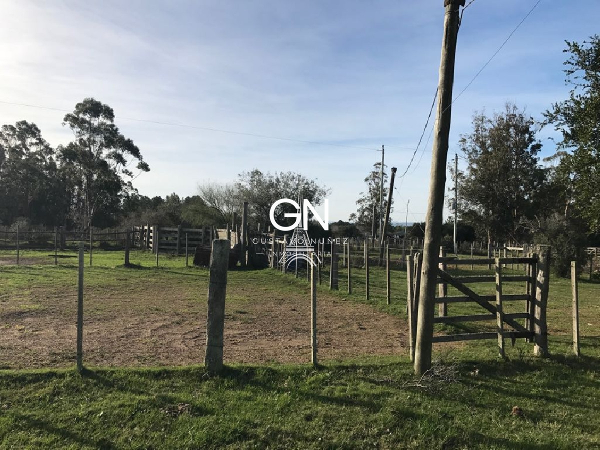 Campo Ref.2980 - 123 hectáreas a pocos kilómetros de Pan De Azúcar