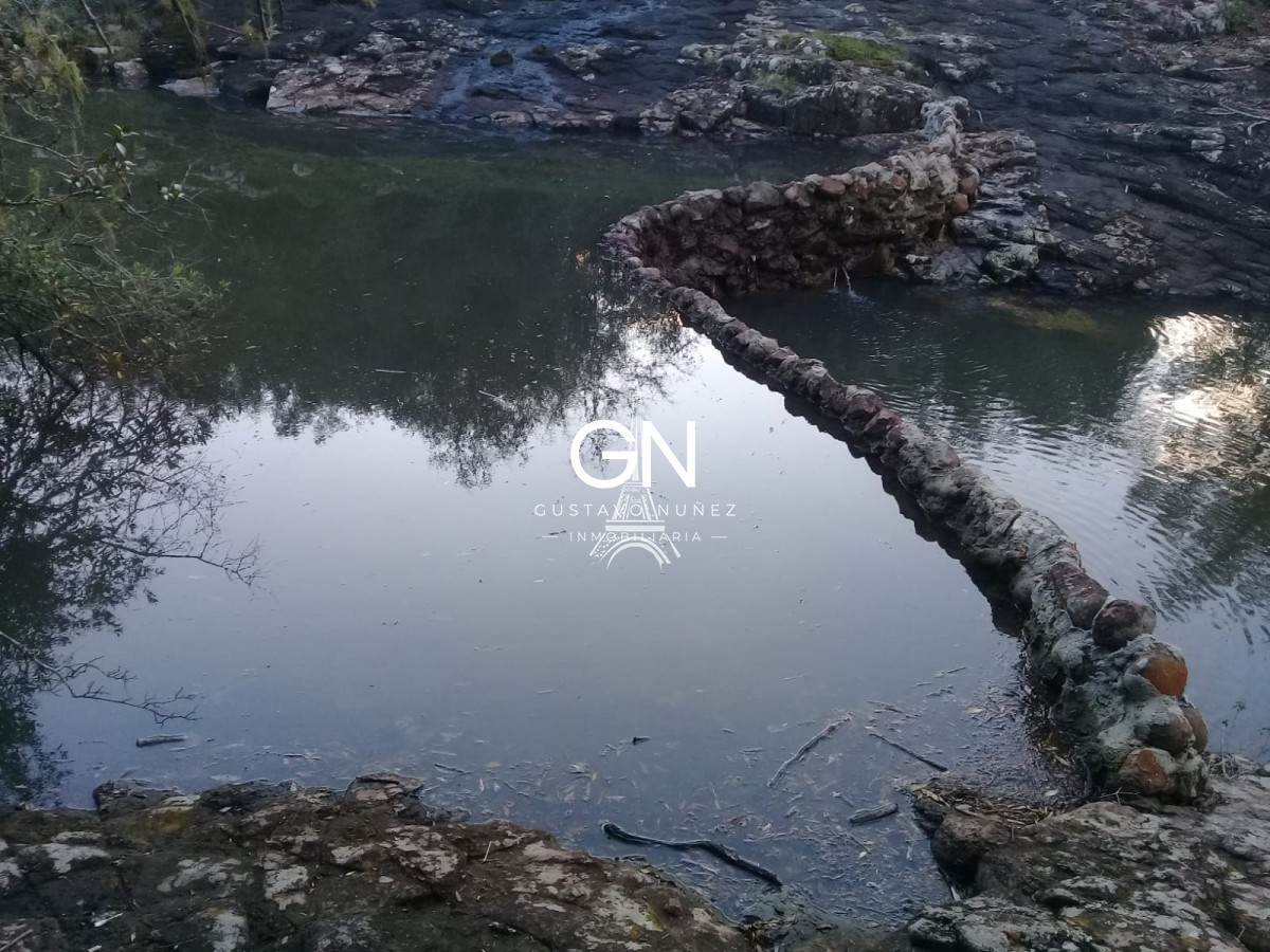 Campo Ref.4569 - Campo ganadero