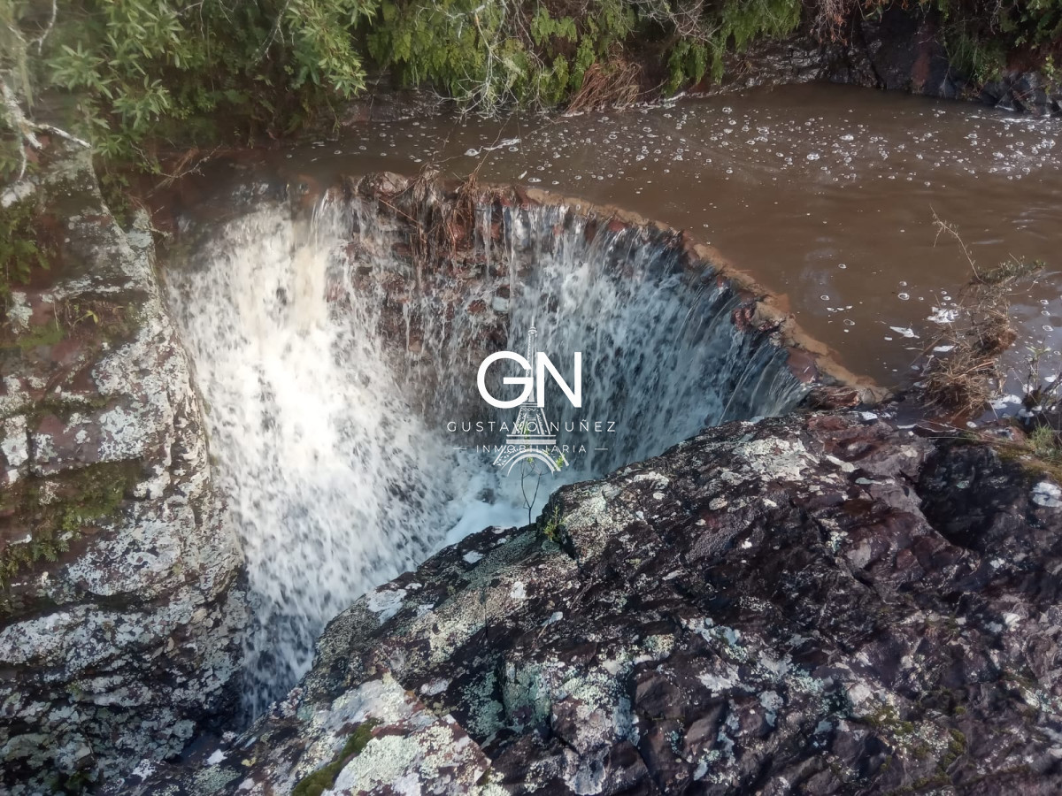 Campo Ref.2800 - Campo ganadero en Tacuarembó.