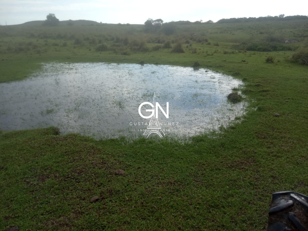 Campo Ref.2800 - Campo ganadero en Tacuarembó.