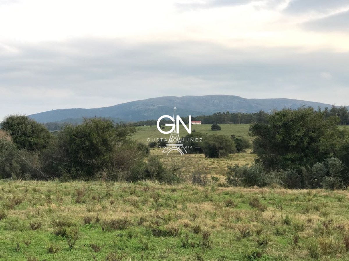 Campo Ref.2980 - 123 hectáreas a pocos kilómetros de Pan De Azúcar