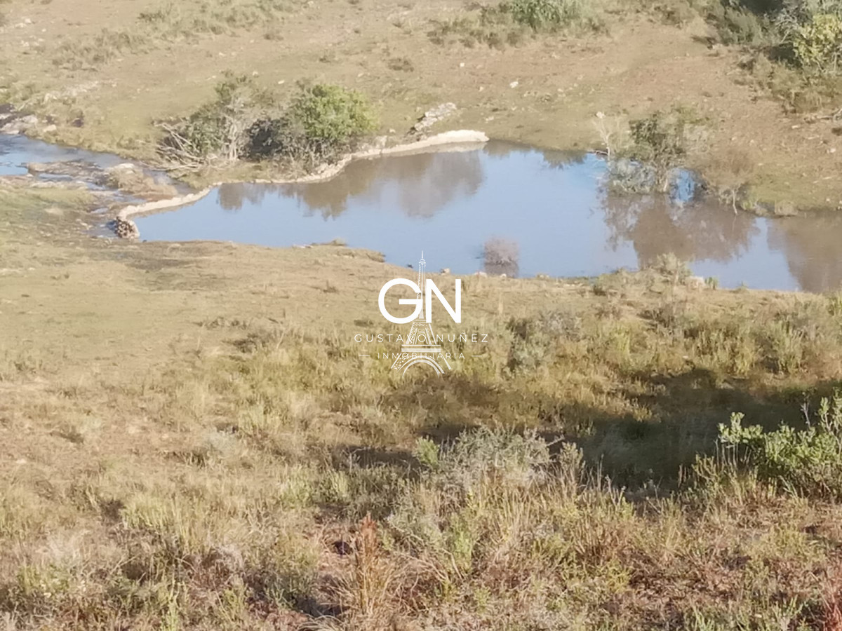 Campo Ref.2800 - Campo ganadero en Tacuarembó.