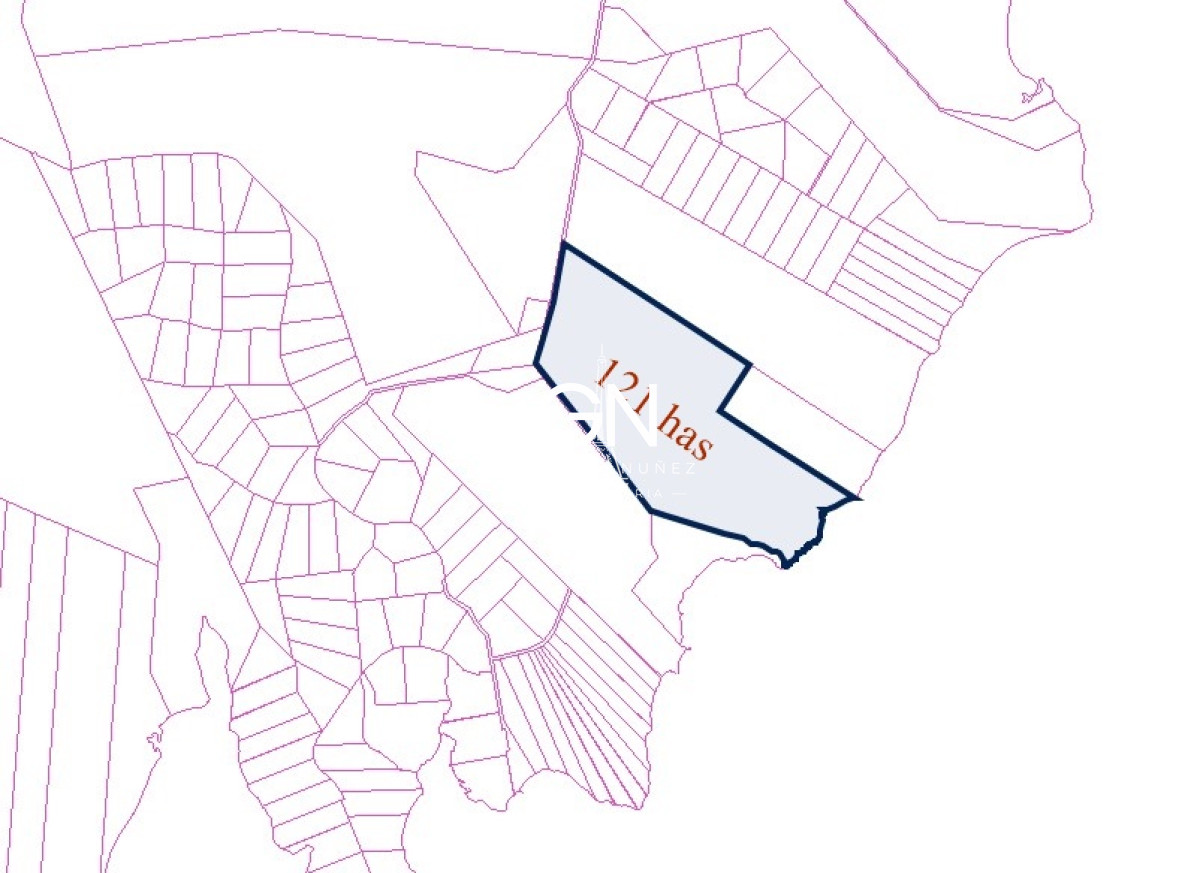 Campo Ref.3955 - Excepcional Campo sobre Laguna del Sauce 