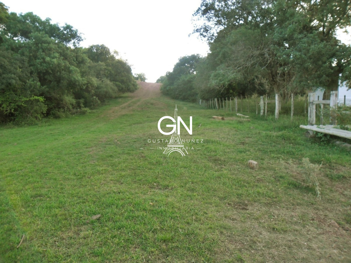 Campo Ref.2658 - Campo en Tacuarembó