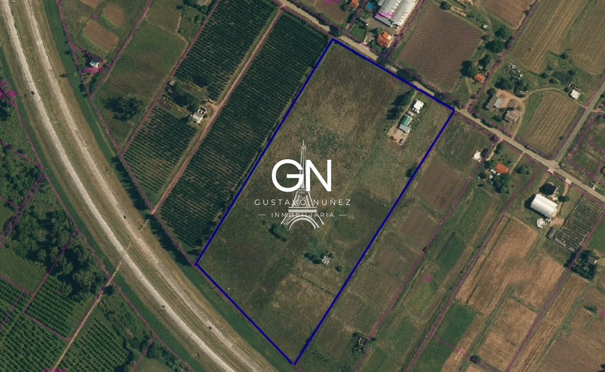 Campo Ref.4495 - Excelentes  hectareas sobre ruta 1