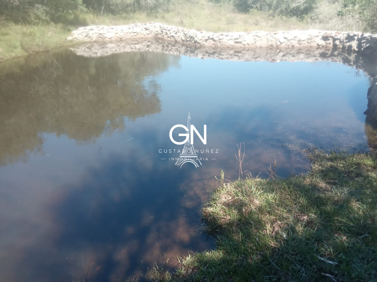 Campo Ref.2800 - Campo ganadero en Tacuarembó.