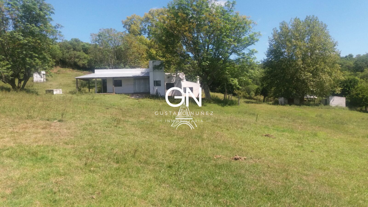 Campo Ref.2658 - Campo en Tacuarembó