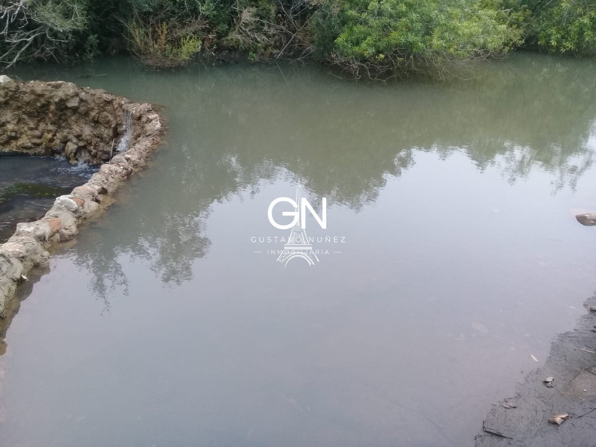 Campo Ref.2658 - Campo en Tacuarembó