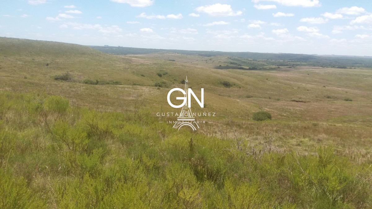 Campo Ref.2800 - Campo ganadero en Tacuarembó.