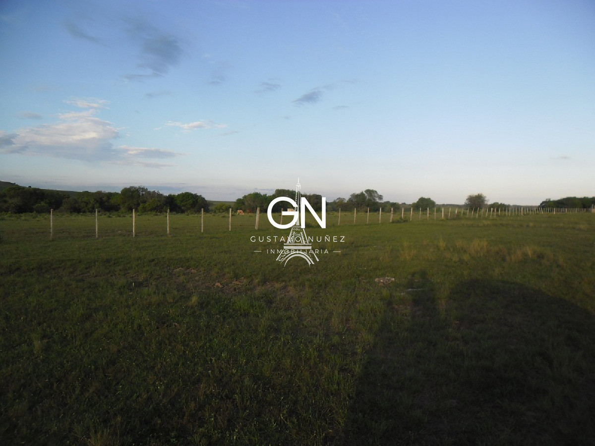 Campo Ref.2658 - Campo en Tacuarembó