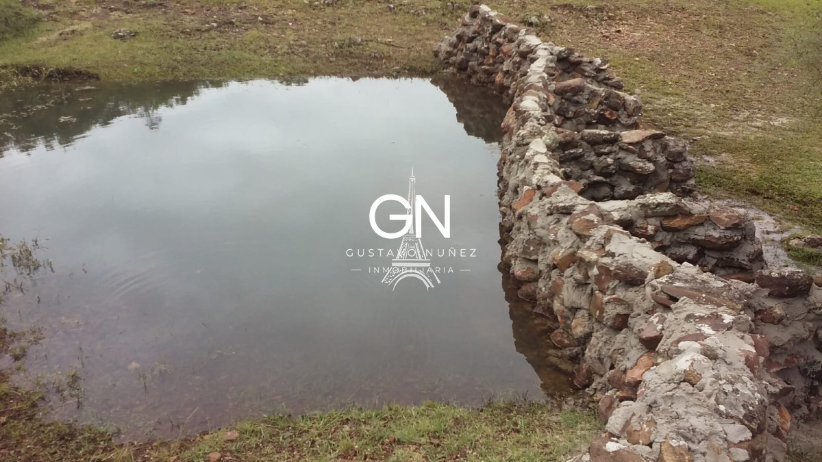 Campo Ref.2658 - Campo en Tacuarembó