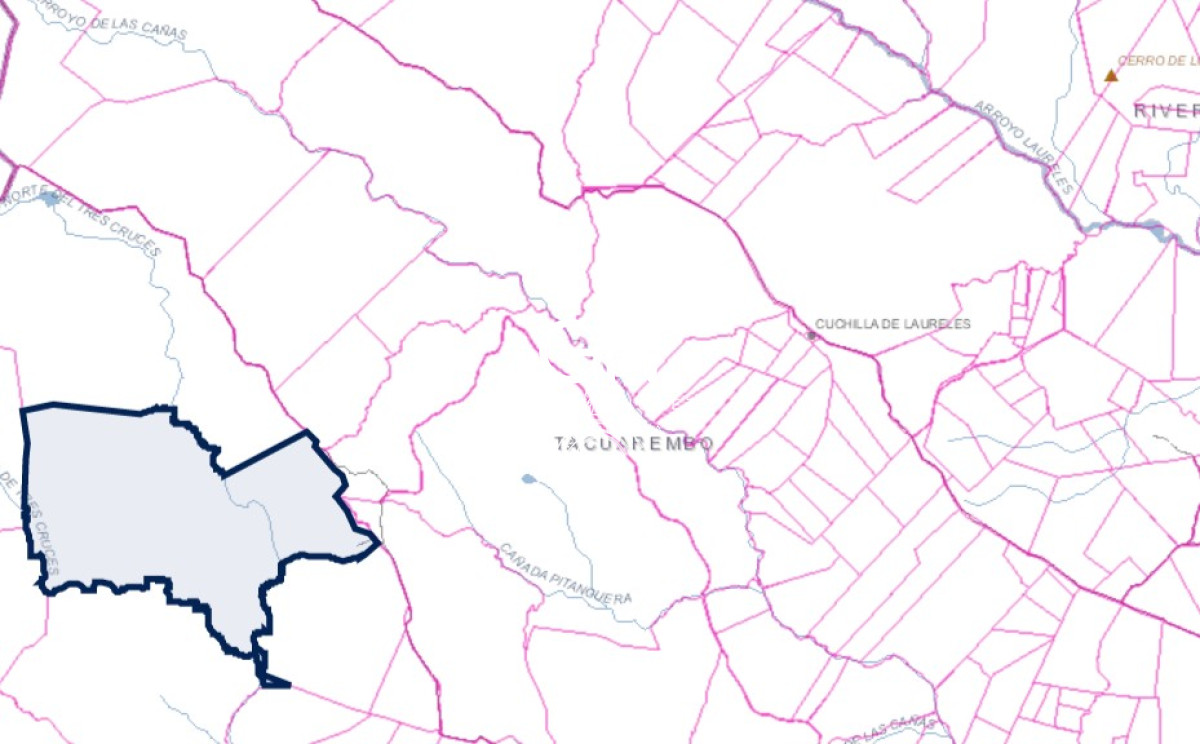 Campo Ref.2800 - Campo ganadero en Tacuarembó.