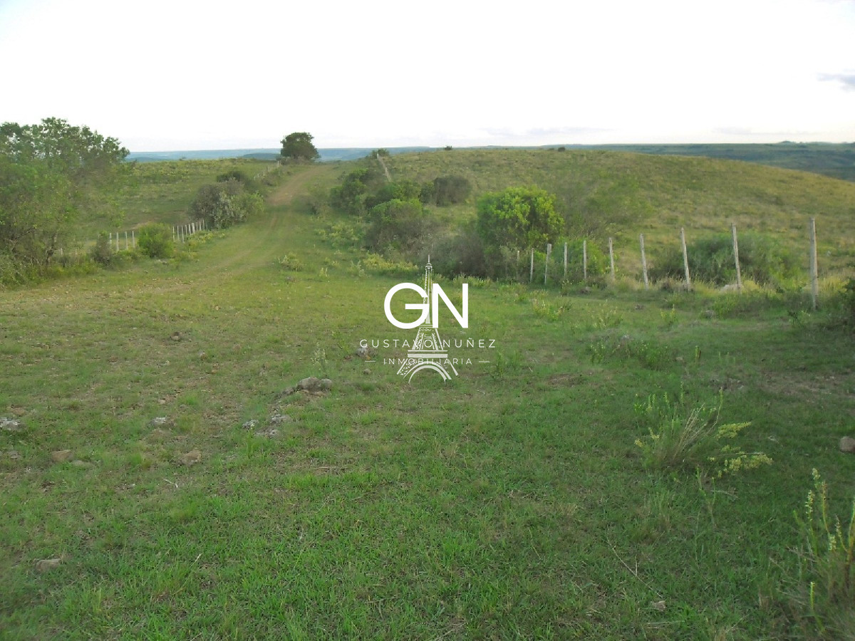 Campo Ref.2658 - Campo en Tacuarembó