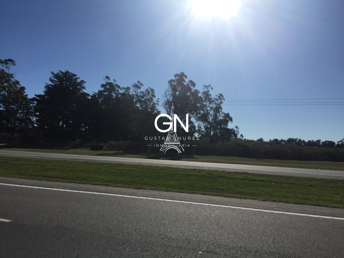 Campo Ref.3548 - Hectáreas sobre ruta IB