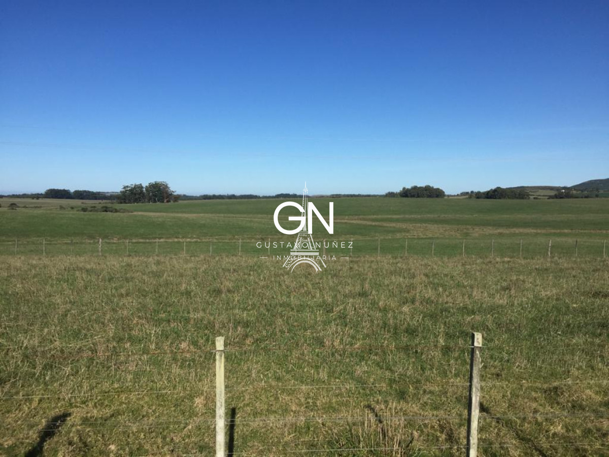 Campo Ref.3548 - Hectáreas sobre ruta IB
