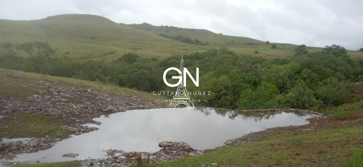 Campo Ref.2800 - Campo ganadero en Tacuarembó.