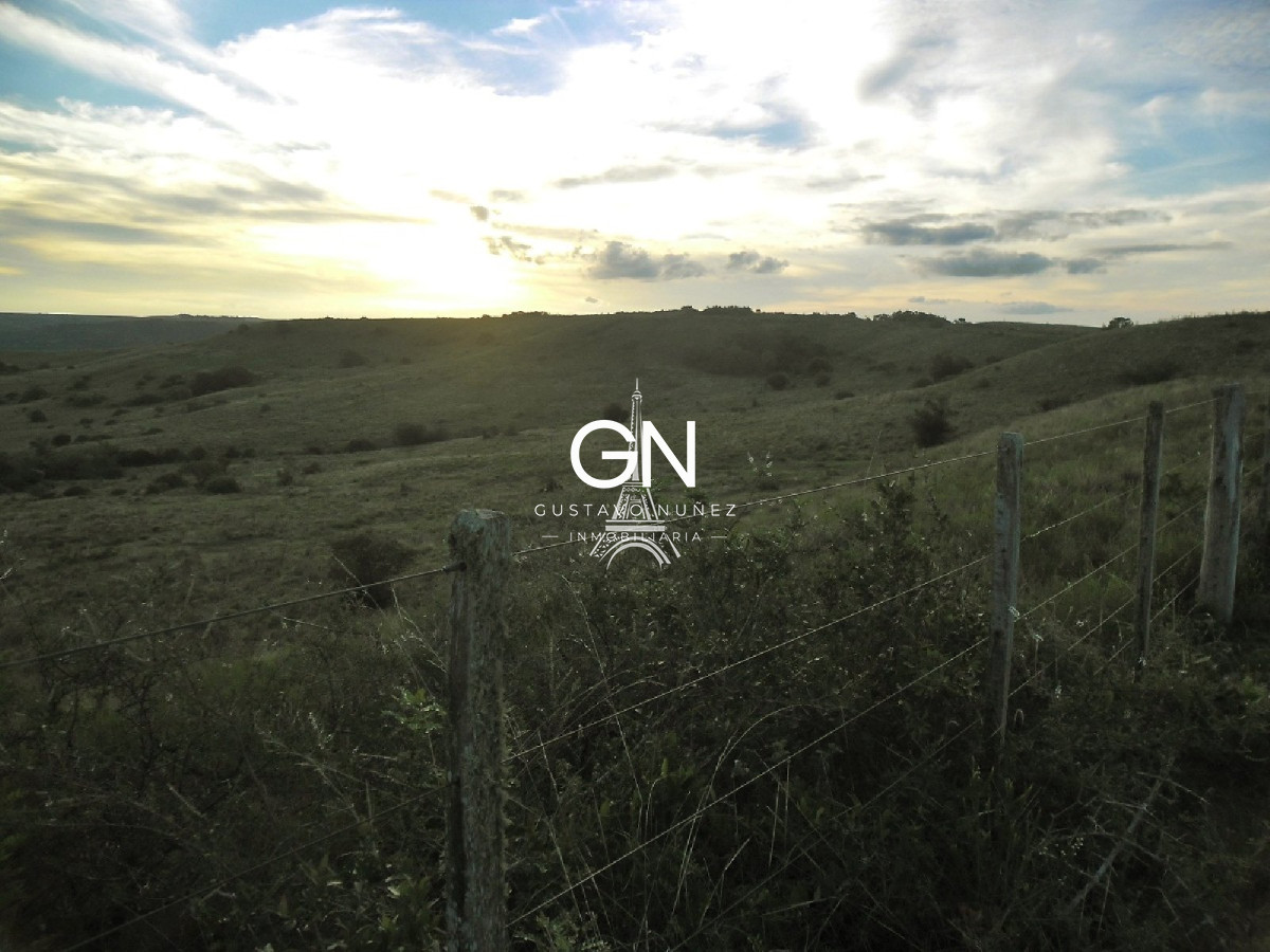 Campo Ref.2658 - Campo en Tacuarembó