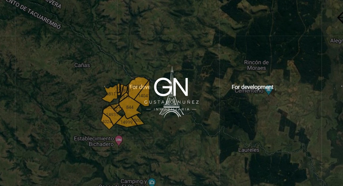 Campo Ref.4569 - Campo ganadero