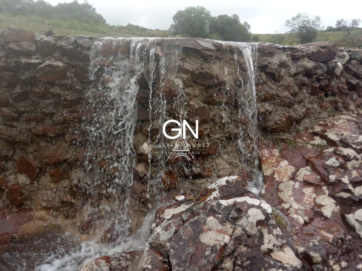 Campo Ref.2800 - Campo ganadero en Tacuarembó.