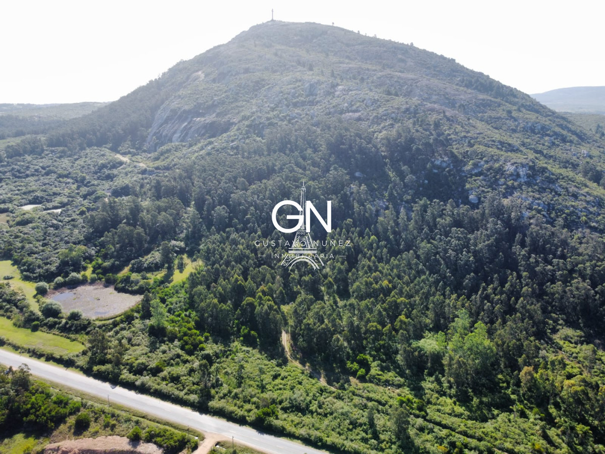 Campo Ref.4391 - Campo en , 